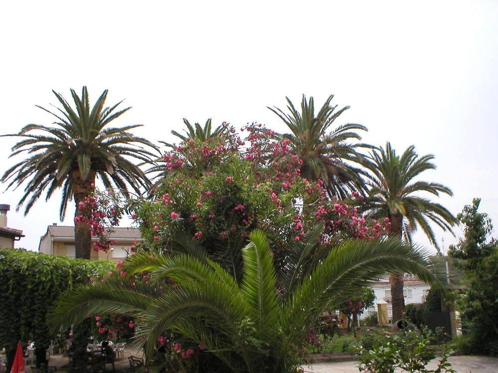 Hostal La Colonial Madrigal de la Vera Exterior foto